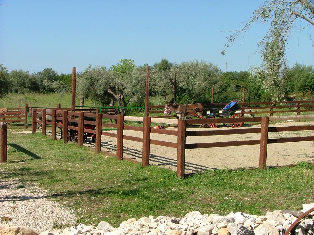 Agriturismo Agrimilo Villa Noto Exterior photo